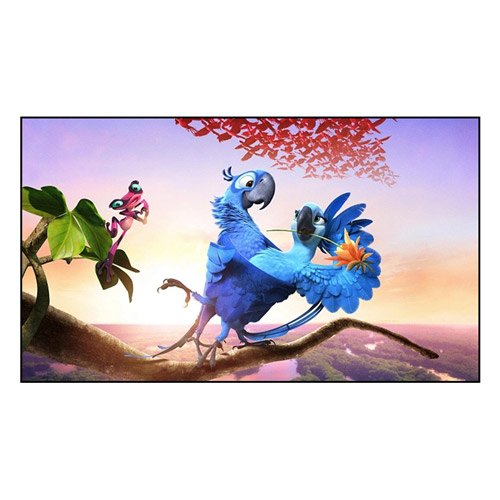 Kuinka kiinteän kehyksen näyttö parantaa katselukokemustasi?